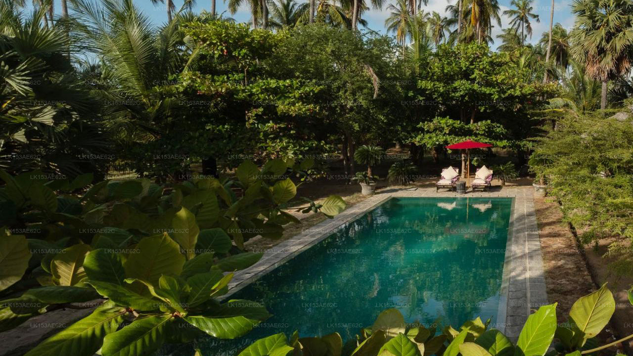 Luna Laguna, Kalpitiya