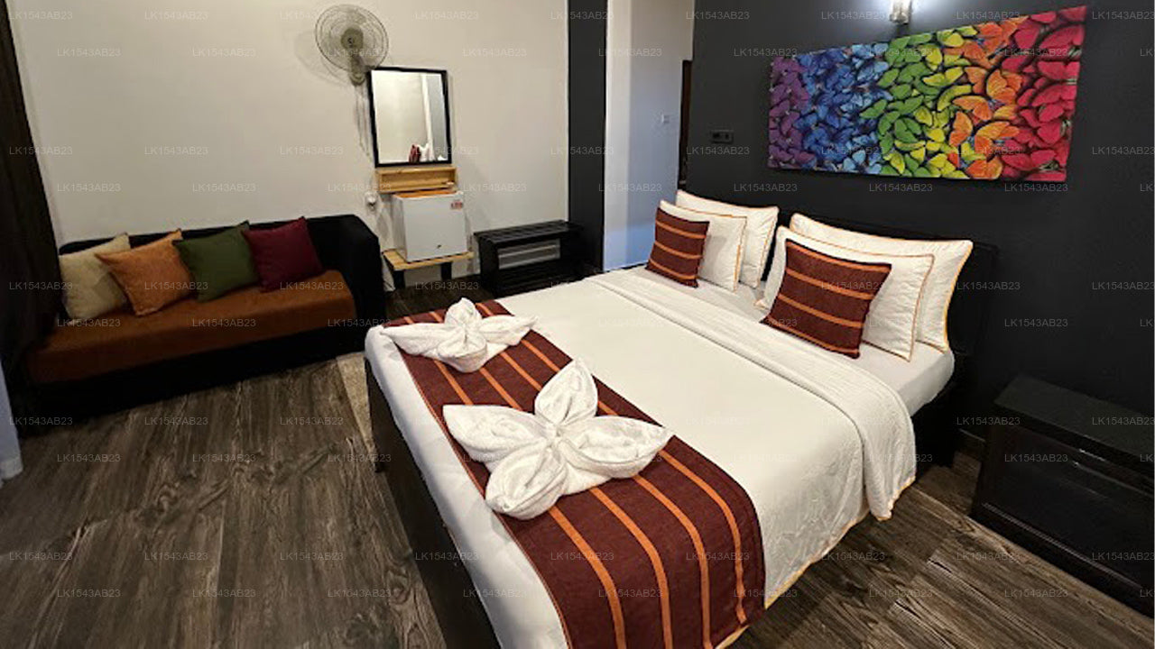 Ella Moon Rock, Ella