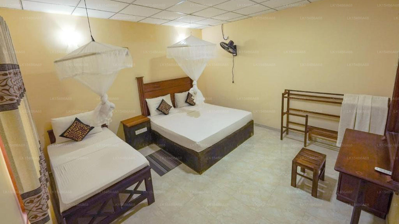 Sigiri Close-up View Guest, Sigiriya