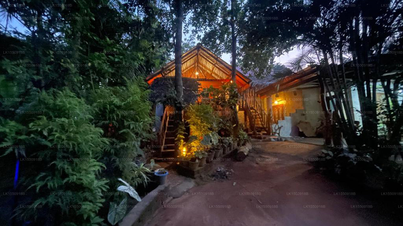 Shan Home Stay, Sigiriya