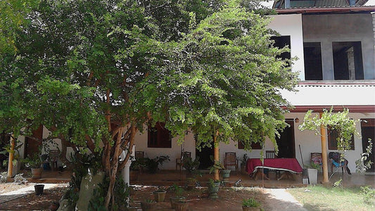 Wanniarachchi Holiday Resort, Yala