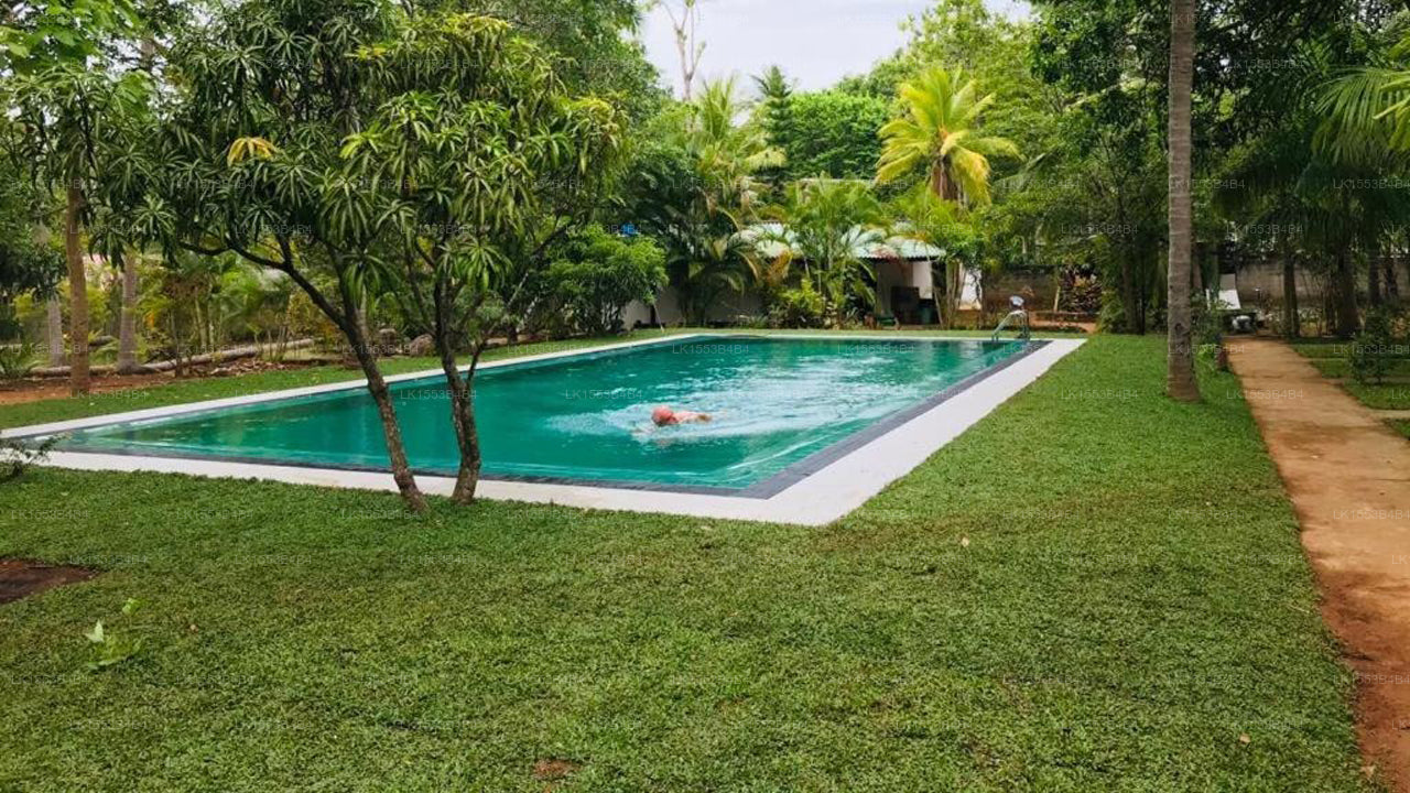 La Dolce Vita, Sigiriya