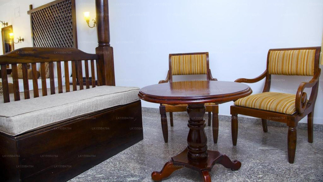 Palms, Mount Lavinia