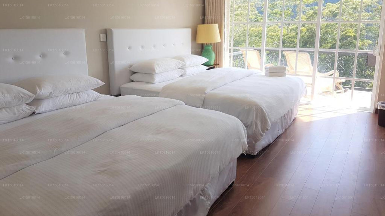Luxe Wilderness, Nuwara Eliya