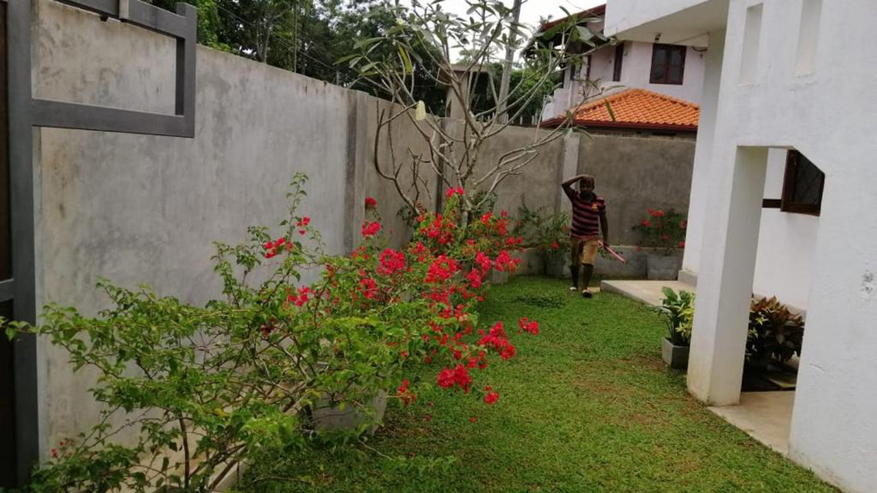 Butterfly villa, Hikkaduwa