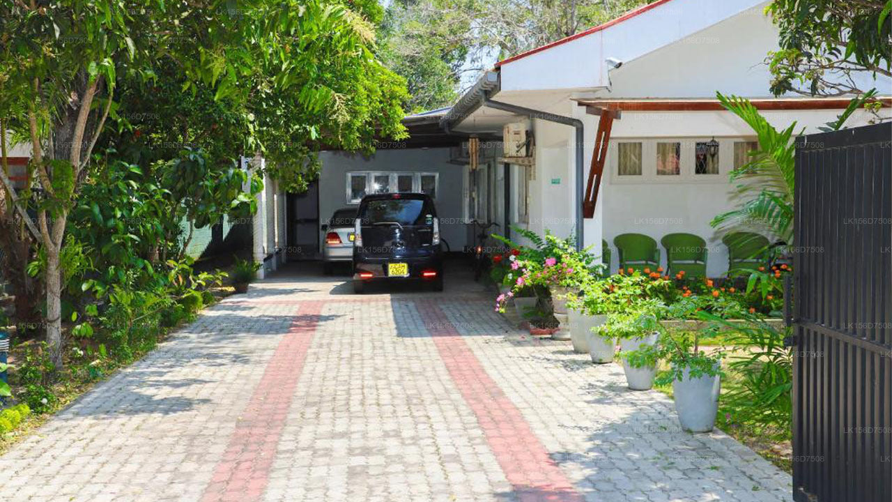 Vandrarhem Katunayake, Katunayake