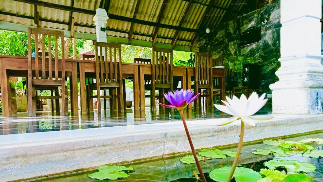 Bangalawa Resort, Habarana