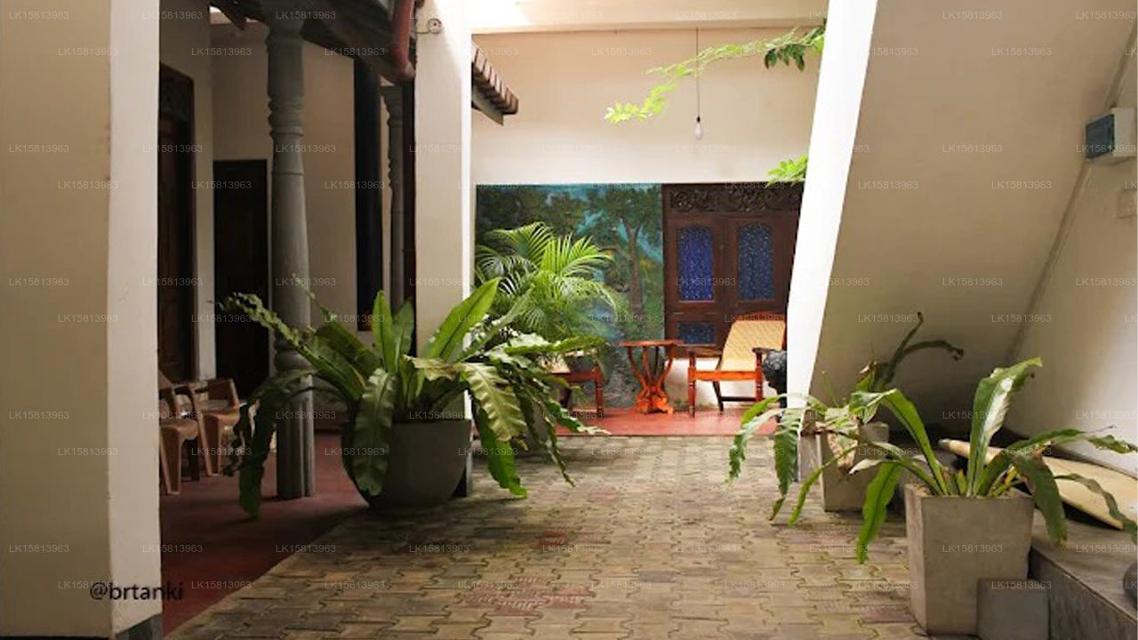 Coco Plant Surf Inn, Midigama