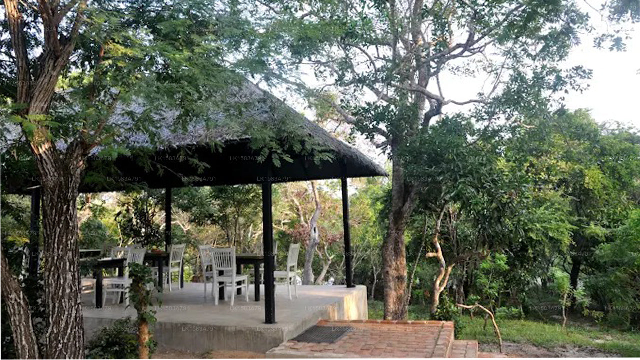 The Backwaters Lodge, Wilpattu