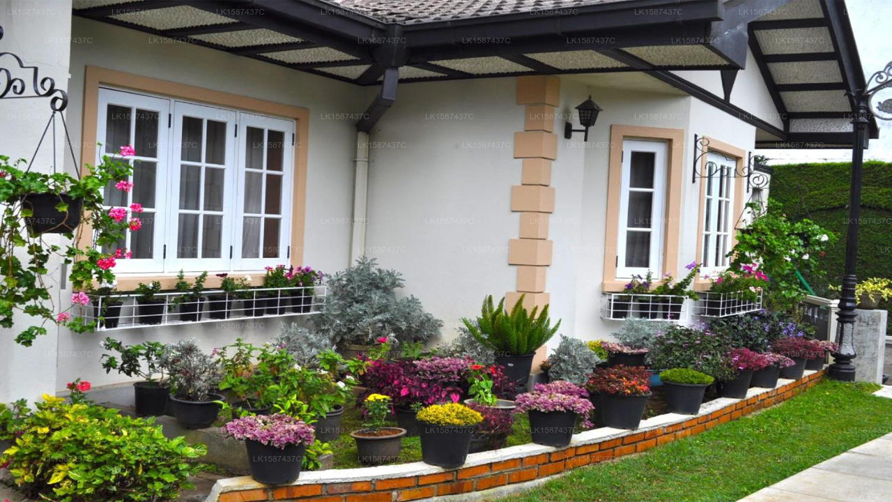 Cocoon Hills, Nuwara Eliya