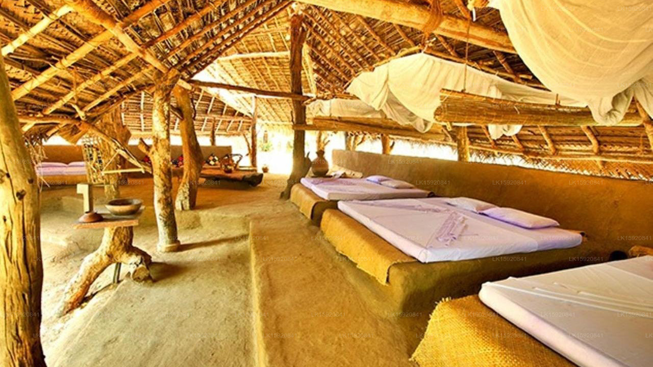 GreenWood Udawalawa Safari Resort