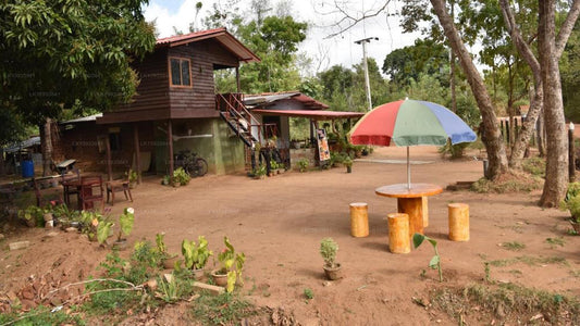 Tree House Hostel Sigiriya
