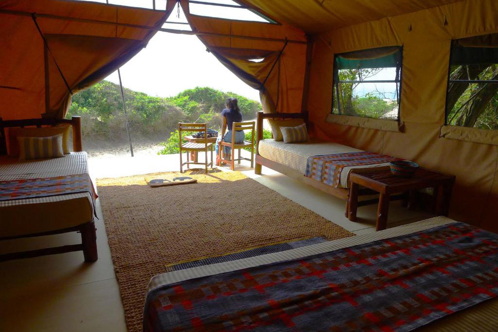 Baksidan av Beyond Dune Camp Yala, Yala