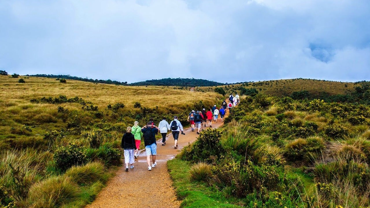 Guidad tur i Horton Plains nationalpark med entrébiljetter