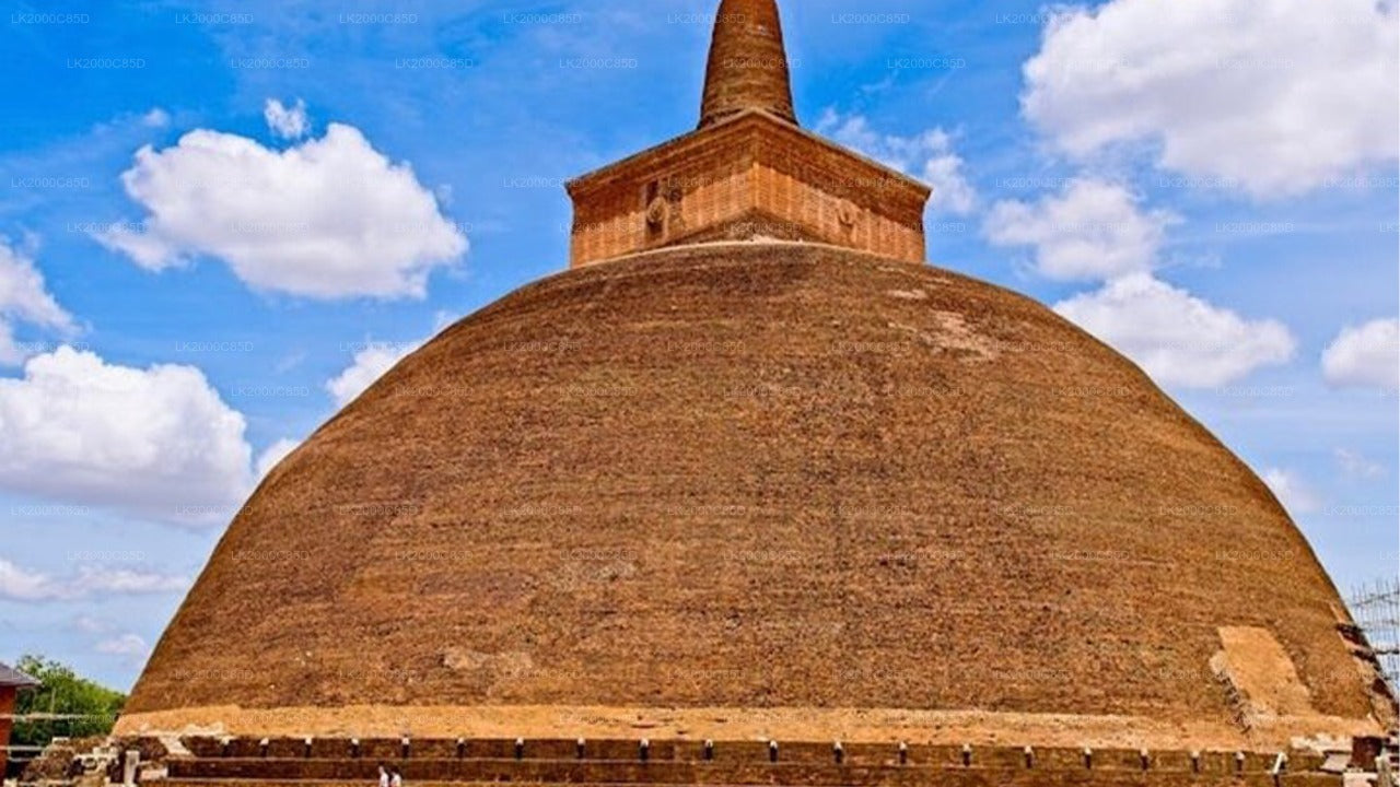 Anuradhapura: Guidad tur till det heliga området med entrébiljetter