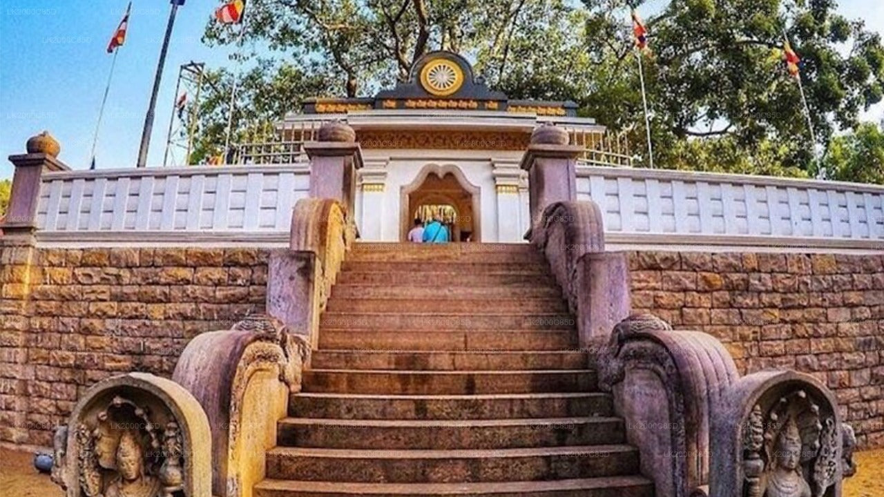Anuradhapura: Guidad tur till det heliga området med entrébiljetter