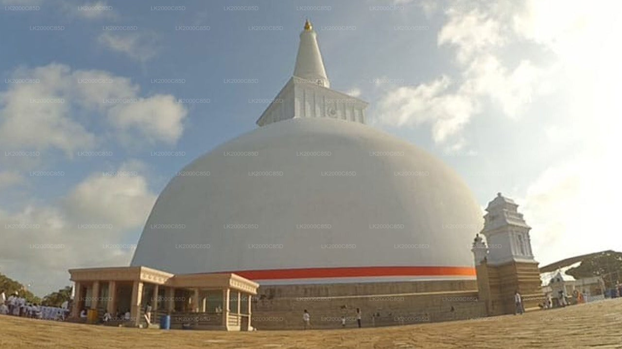 Anuradhapura: Guidad tur till det heliga området med entrébiljetter