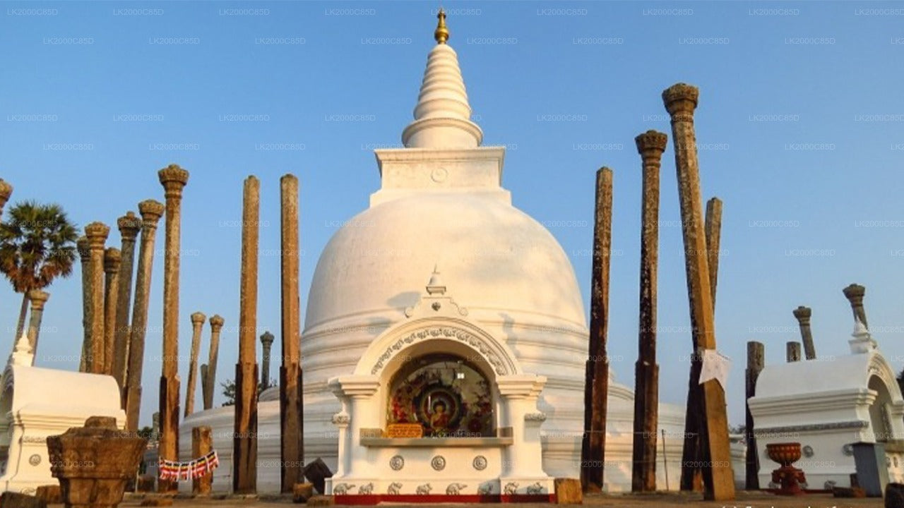 Anuradhapura: Guidad tur till det heliga området med entrébiljetter