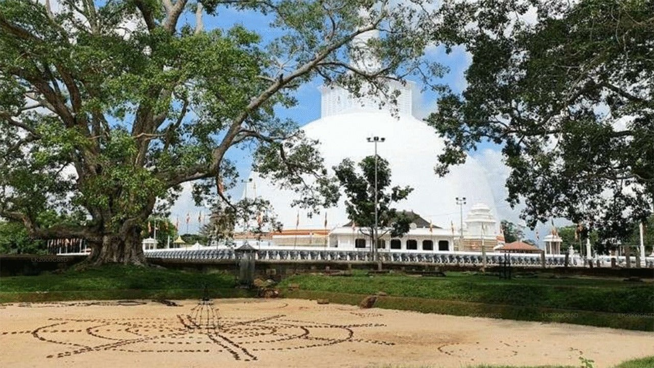 Anuradhapura: Guidad tur till det heliga området med entrébiljetter