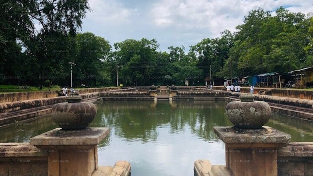 Anuradhapura: Guidad tur till det heliga området med entrébiljetter