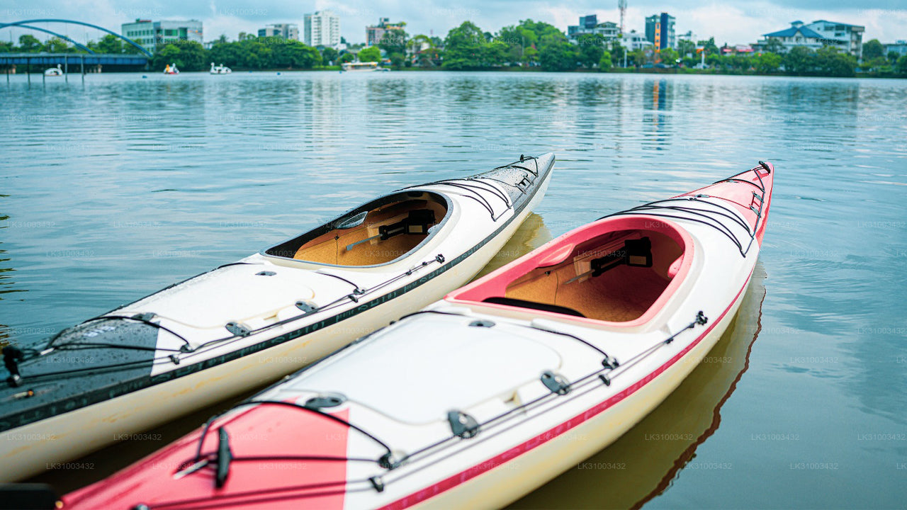 Two kayaks on a calm body of water with a cityscape in the background