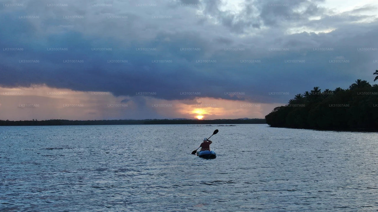 Kajaktur i lagunen från Negombo