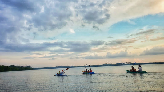 Kajaktur i lagunen från Negombo