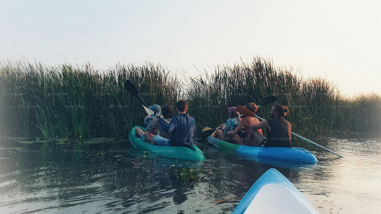 Kajaktur i lagunen från Negombo