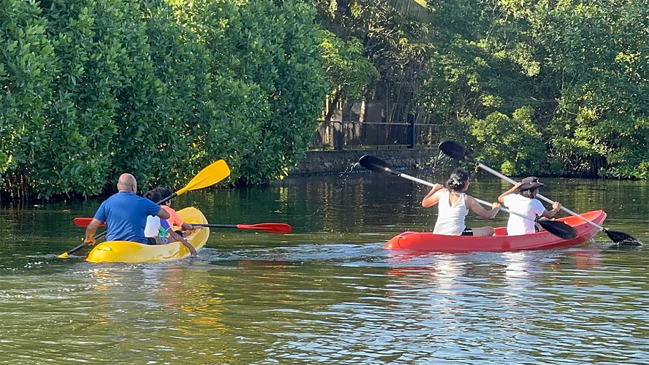 Koggala Lake Kayaking