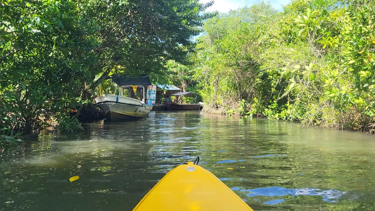 Koggala Lake Kayaking