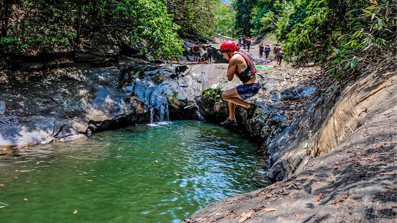 Person jumping into a natural water pool surrounded by trees and rocks