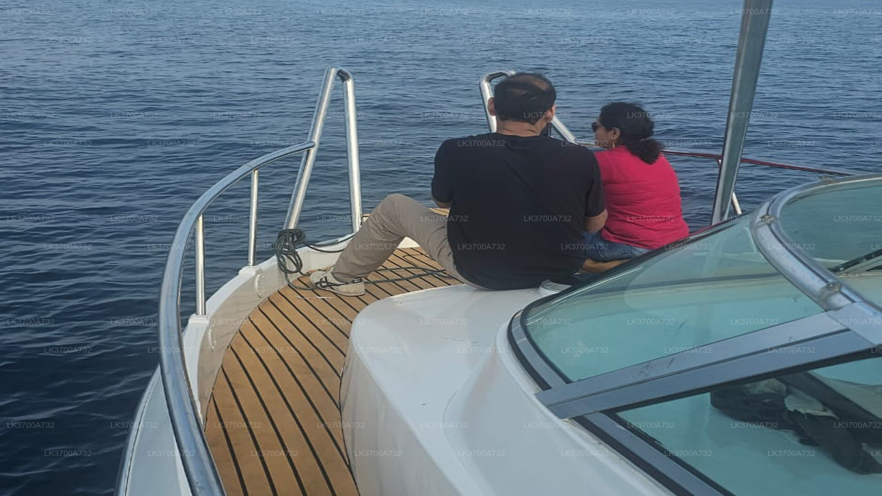 Privat valskådningstur med lyxig motorbåt från Mirissa