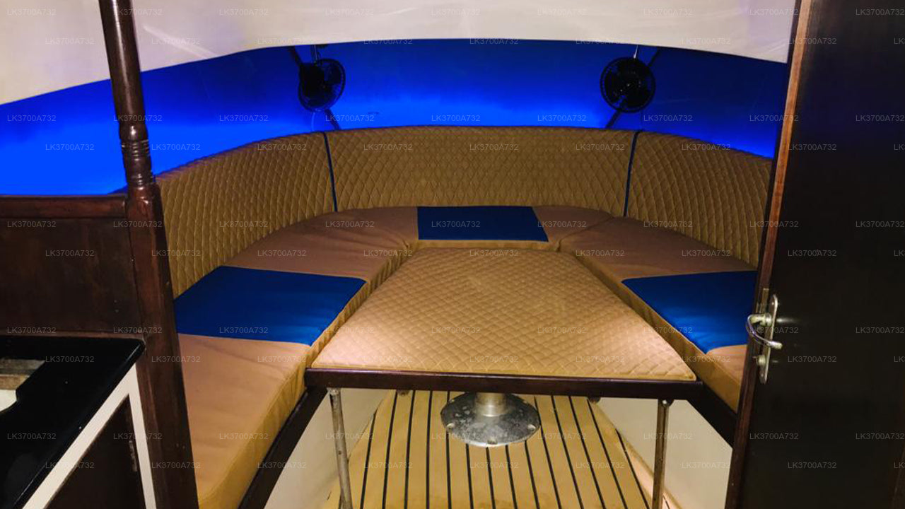 Privat valskådningstur med lyxig motorbåt från Mirissa