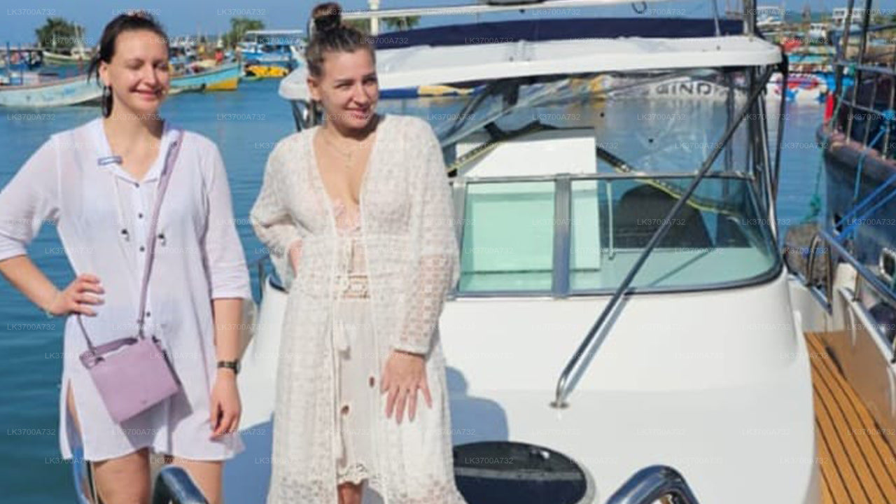 Privat valskådningstur med lyxig motorbåt från Mirissa