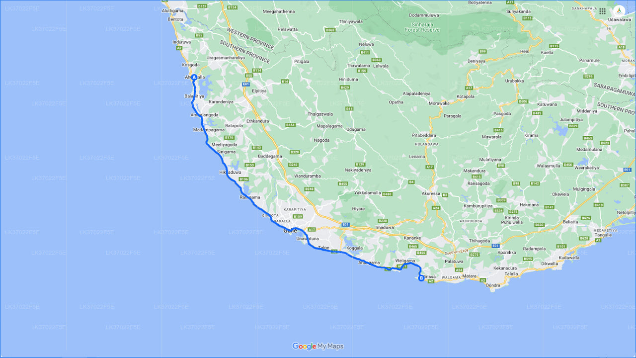 Whale Watching from Ahungalla on Shared Boat