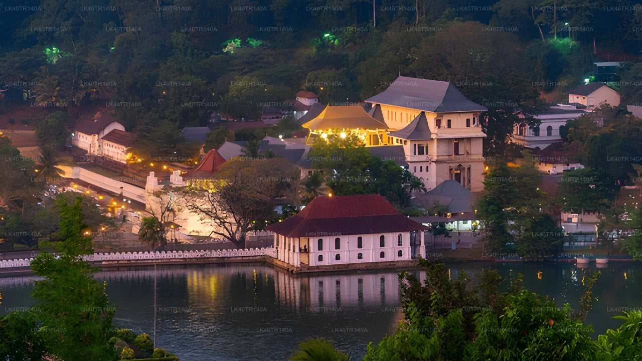 Ella till Kandy: En naturskön resa med tåg och bil eller minibuss
