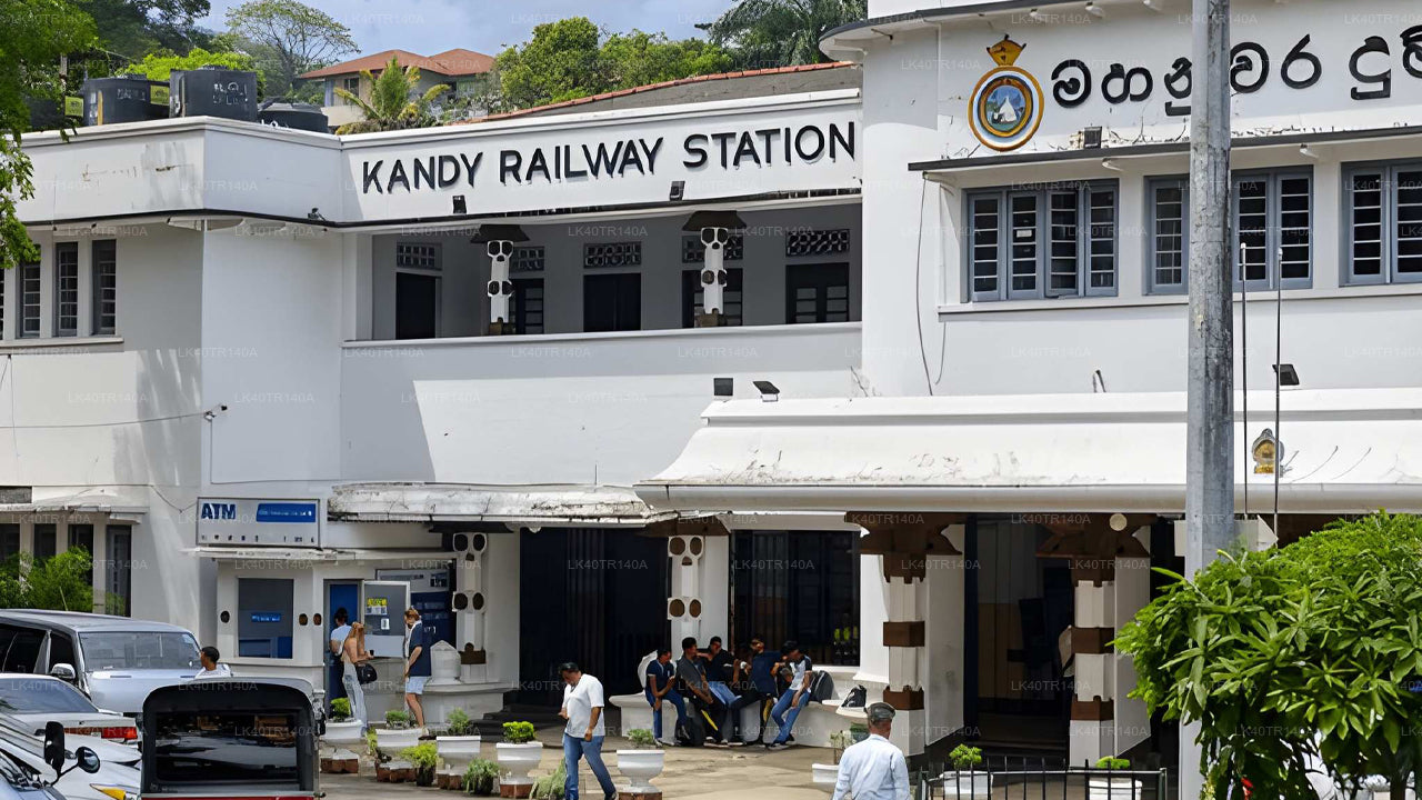 Kandy till Ella: En naturskön resa med tåg och bil eller minibuss