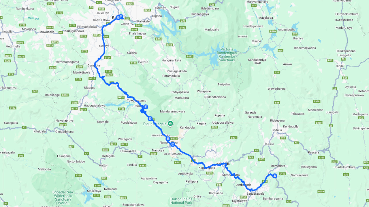 Privat transfer till Kandy från Ella med natursköna stopp