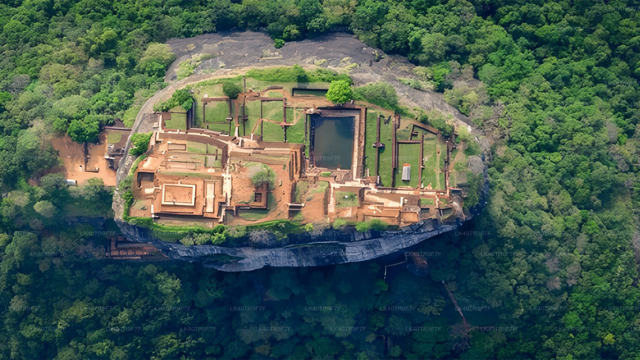 Privat transfer från Colombo till Sigiriya med sightseeingstopp