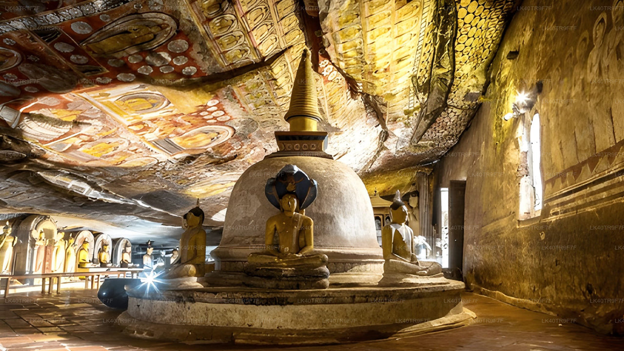 Privat transfer från Colombo till Sigiriya med sightseeingstopp