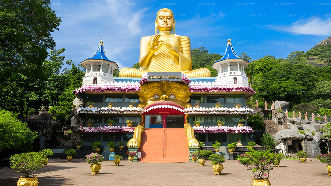 Privat transfer från Colombo till Sigiriya med sightseeingstopp