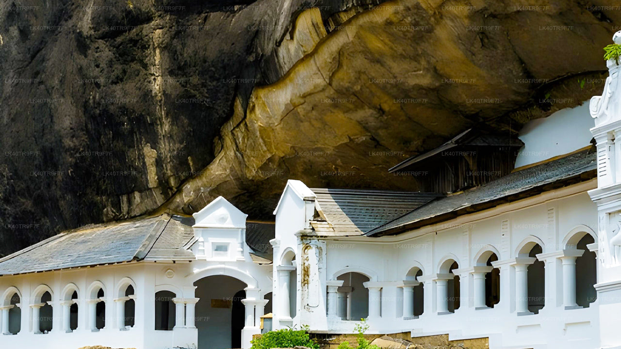 Privat transfer från Colombo till Sigiriya med sightseeingstopp