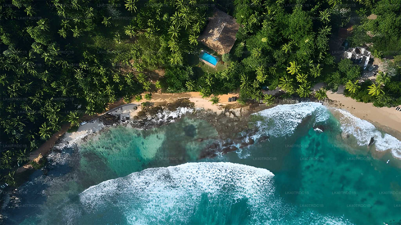 Privat transfer från Negombo till Hiriketiya med sightseeingstopp