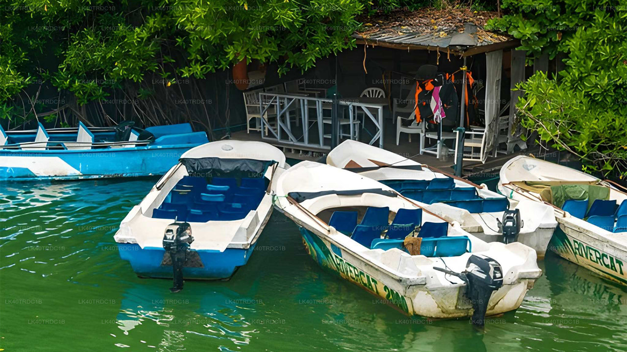 Privat transfer från Negombo till Hiriketiya med sightseeingstopp