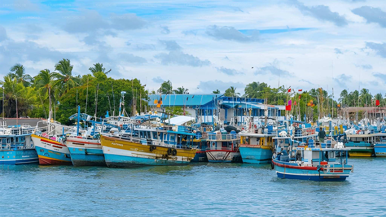 Privat transfer från Negombo till Hiriketiya med sightseeingstopp