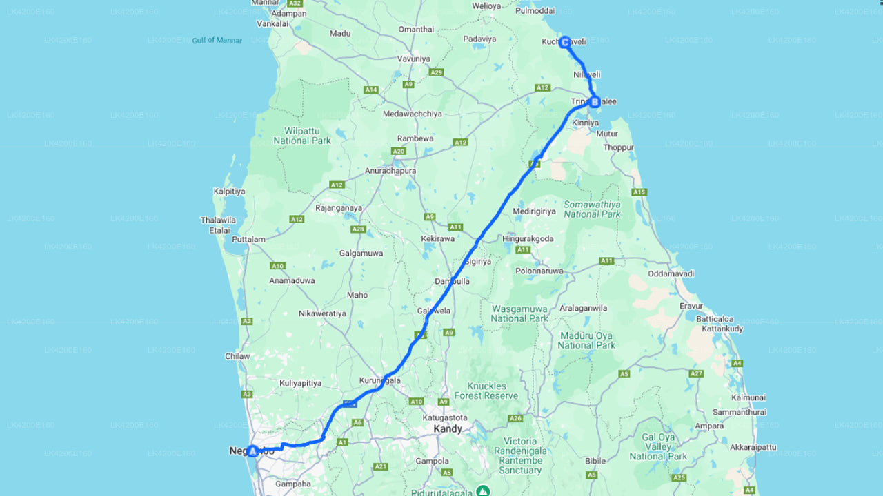 Negombo City to Trincomalee or Kuchchaveli City Private Transfer