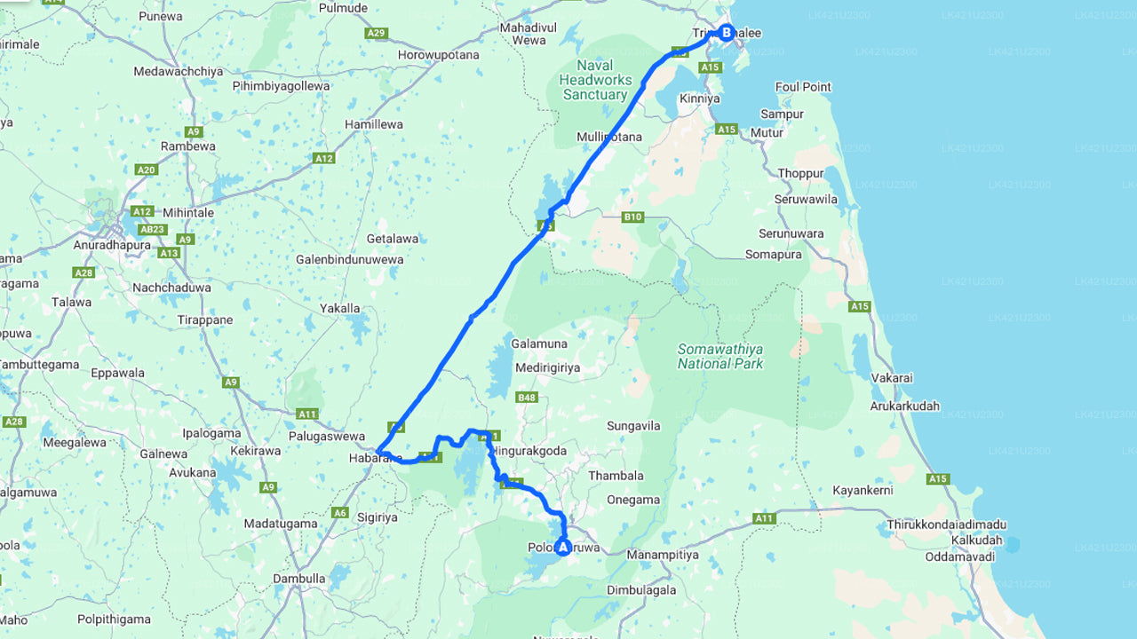 Polonnaruwa City to Trincomalee City Private Transfer