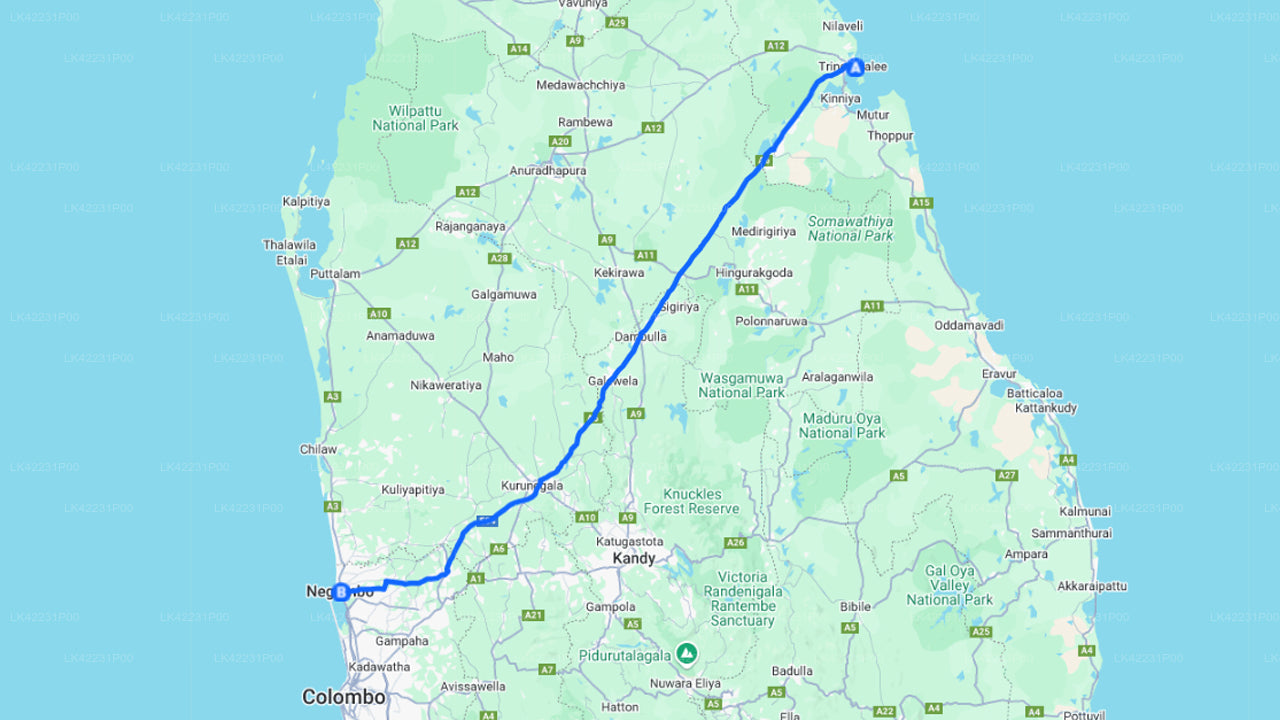 Trincomalee City to Negombo City Private Transfer