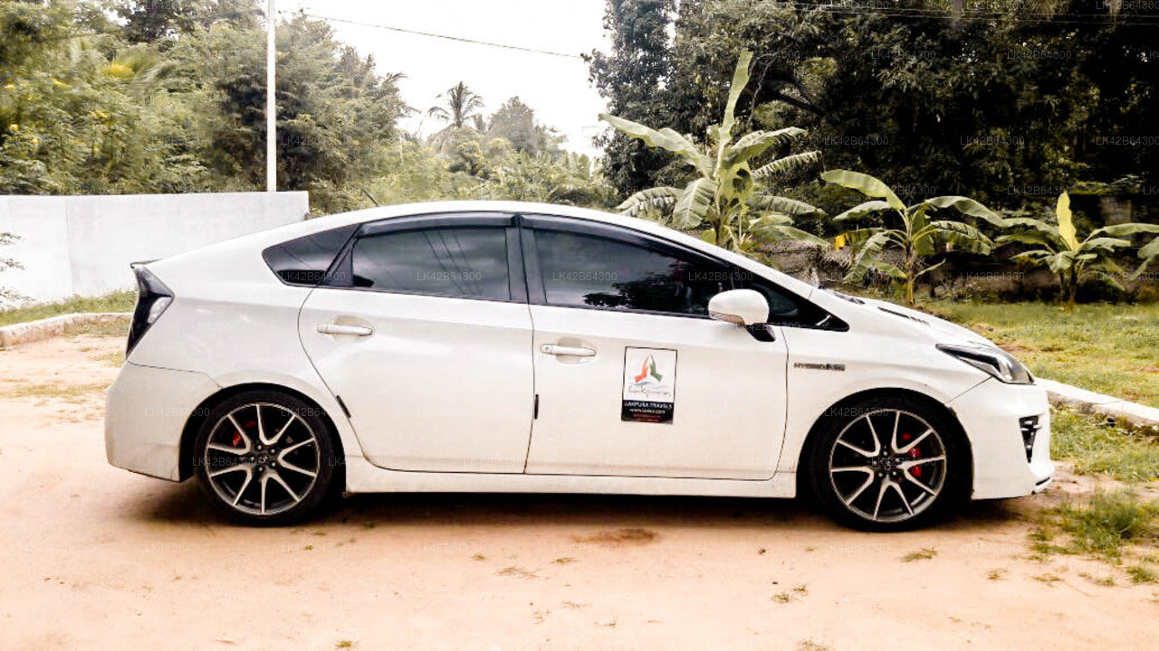 Privat transfer från Trincomalee stad till Pasikuda stad