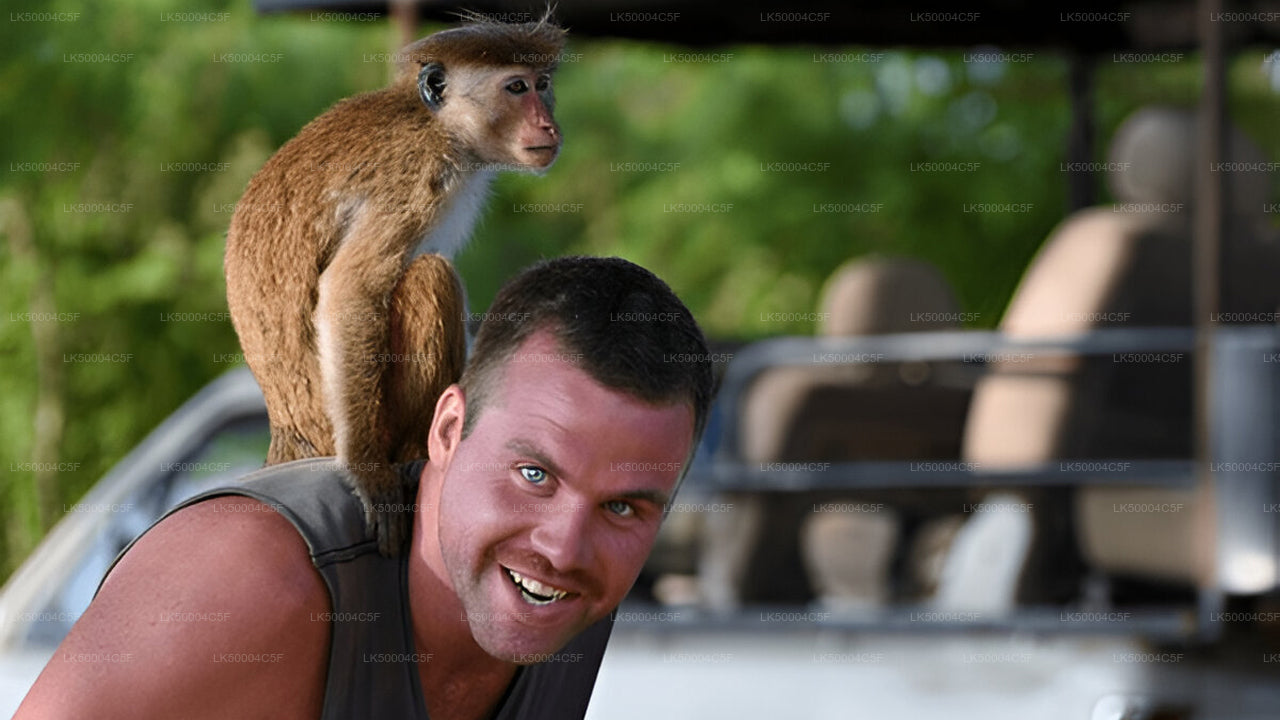 Privat tur från Ella till Weligama med Udawalawe Safari